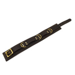 n10096 bound collar 3