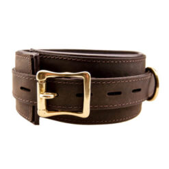 n10096 bound collar 1