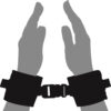 n10452 loving joy beginners wrist restraints 1