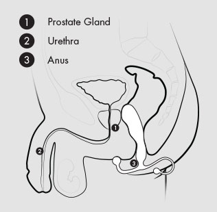 Aneros Progasm Ice Prostate Massager 5 Aneros Progasm Ice Prostate Massager - Image 5