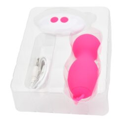 n12023 loving joy remote controlled vibrating kegel balls inthebox